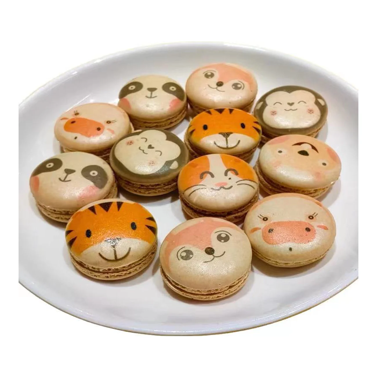 Рисунок 5 - Цветной настольный принтер A4 для