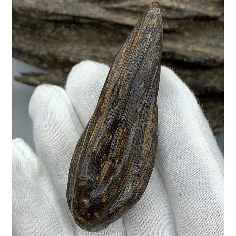 Tarakan insect leakage agarwood with shape pendant old materials oily rich medicine fragrance sweet hand pieces collection 3