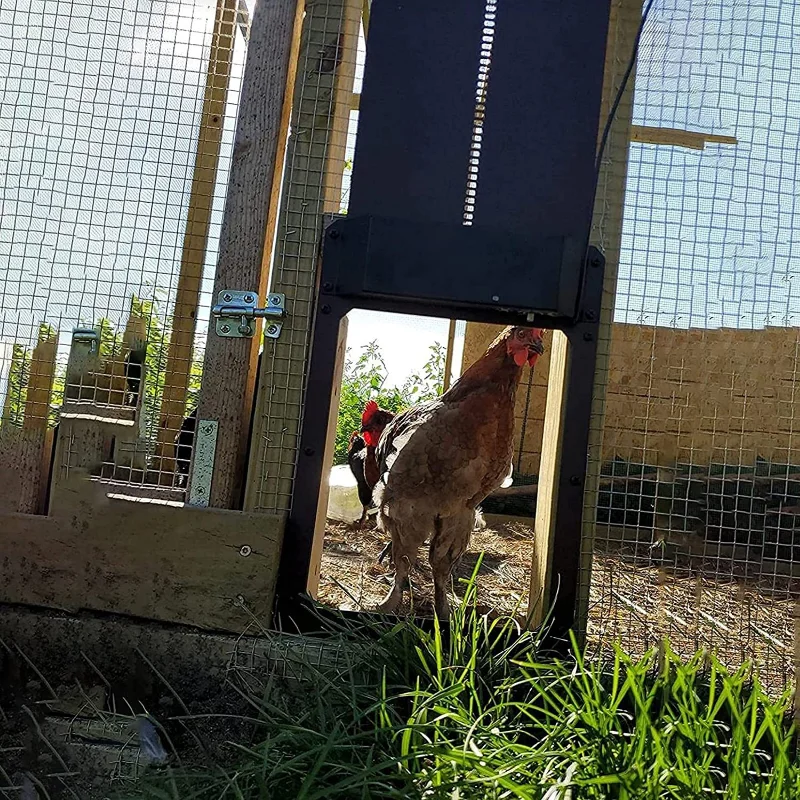 Automatic Chicken Coop Door Light-sensitive Automatic Chicken House Door High Quality And Practical Pets Dog Cages chicken coop door pet door