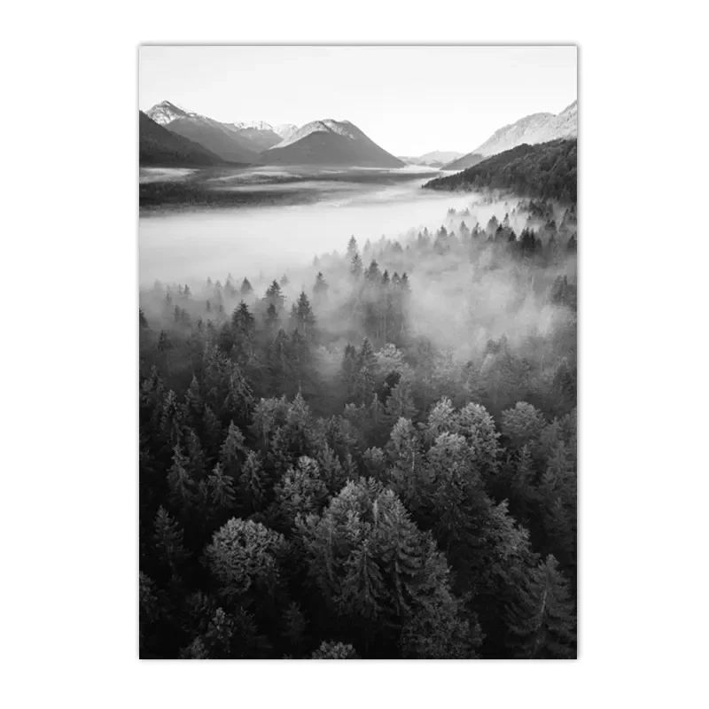 Poster Déco Murale 40x50cm - Forêt Brumeuse Montagne - Noir Et Blanc - ARTTOR