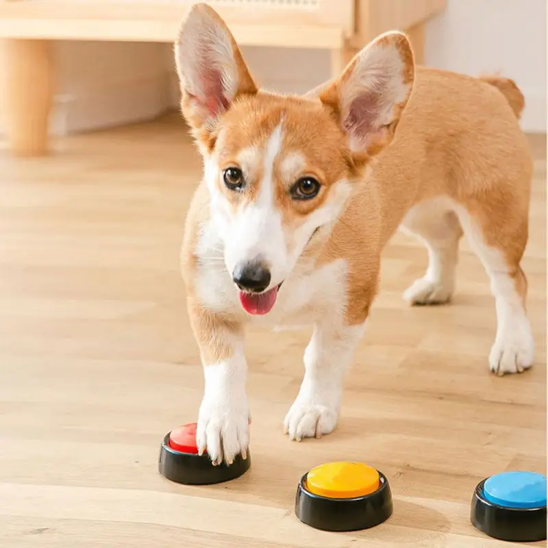 Recordable Talking Button Dog Recordable Talking Button Pet Pet
