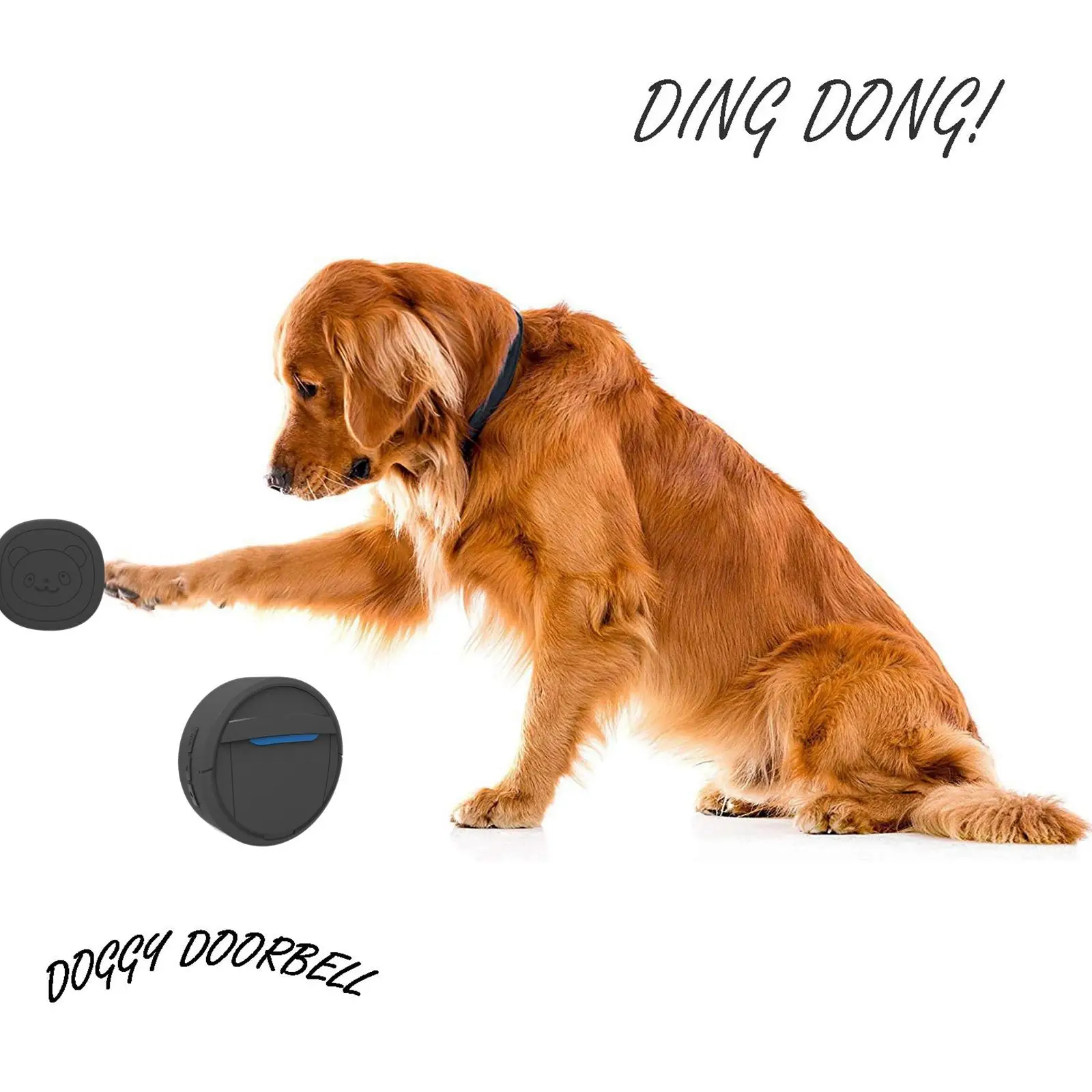 

Wireless Pet Dog Doorbell Outdoor Waterproof Touch Button Door Bell Home Pet Training Tool 0-110dB 5 Level Adjustable