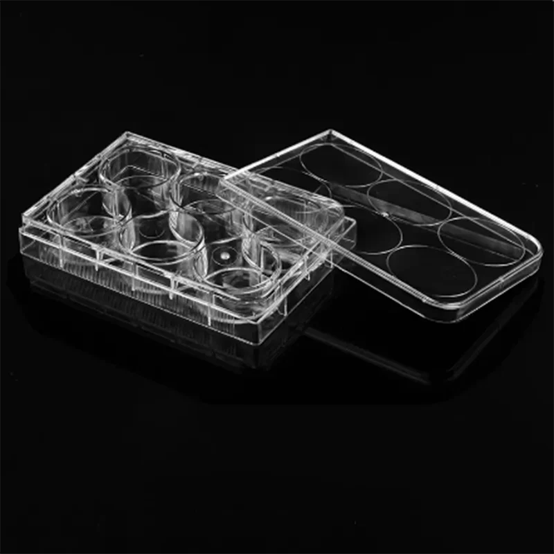 10pcs 6/12/24/48/96 hole well Cell Culture Plates Flat Bottom Sterile Bacterial Culture Treated Plate
