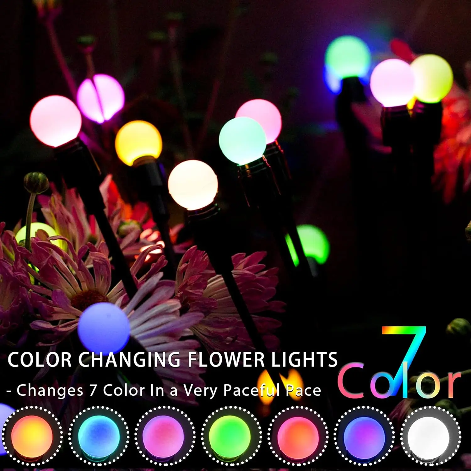 10LED Multicolor