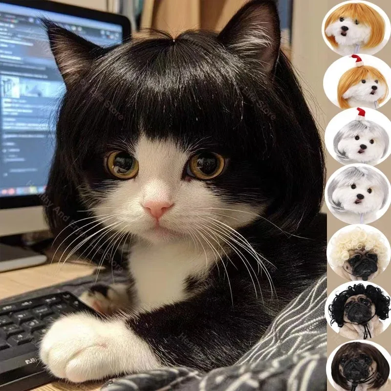 Funny Pet Costume Wig 1