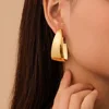 Wide Metal Earrings 6