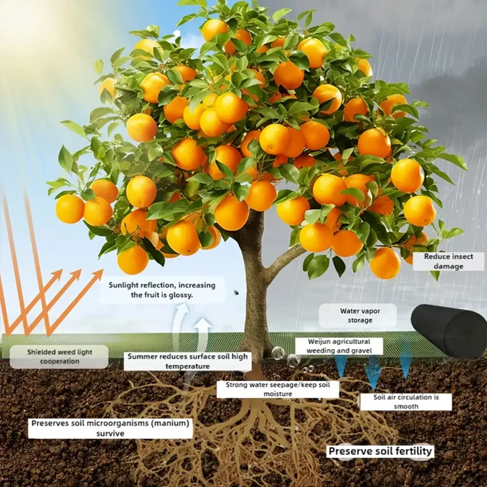 Baum Mulch Ring Jäten Barriere Schutz Matte Pflanzen Abdeckung Anti Gras, Gartenarbeit Stoff Unkraut Kontrolle Warme Feuchtigkeit Kissen – Detail 7