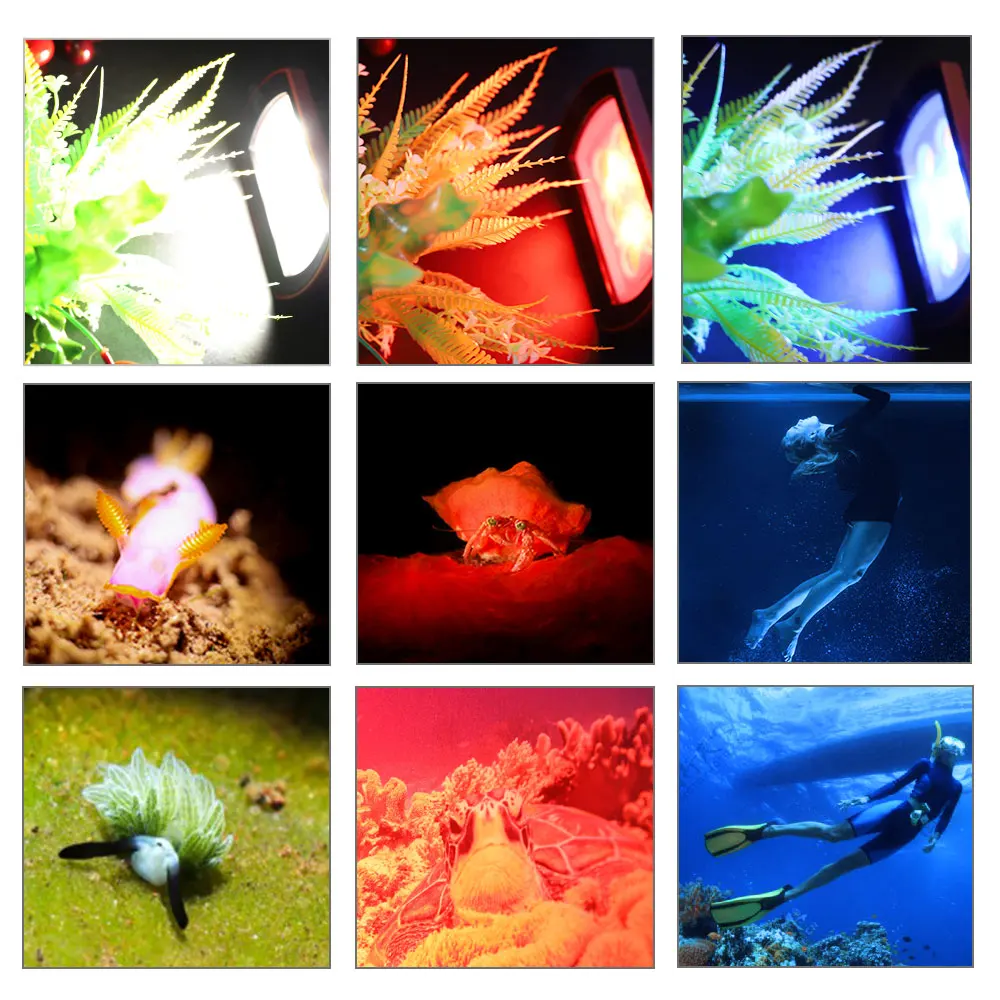 Seafrogs Aluminum LED Diving Light 7000-7500K Underwater Photography Lamp For Underwater Photography And Outdoor Activities