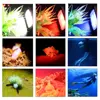 Seafrogs Aluminum LED Diving Light 7000-7500K Underwater Photography Lamp For Underwater Photography And  Outdoor Activities 5