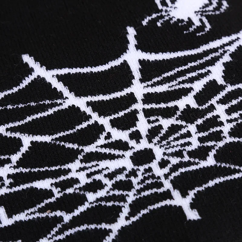 Y2k Beanie for Men Women Spider Web Double Layers Winter Hats Warm Stocking Caps Hip Hop Street Kpop