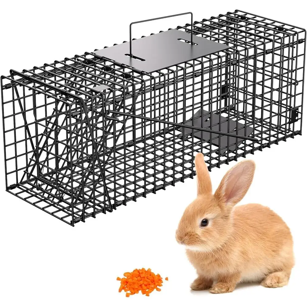 Humane Capture Live Animal Trap Cage Stray Cats Raccoons Medium Size Durable Foldable Outdoor Indoor Use