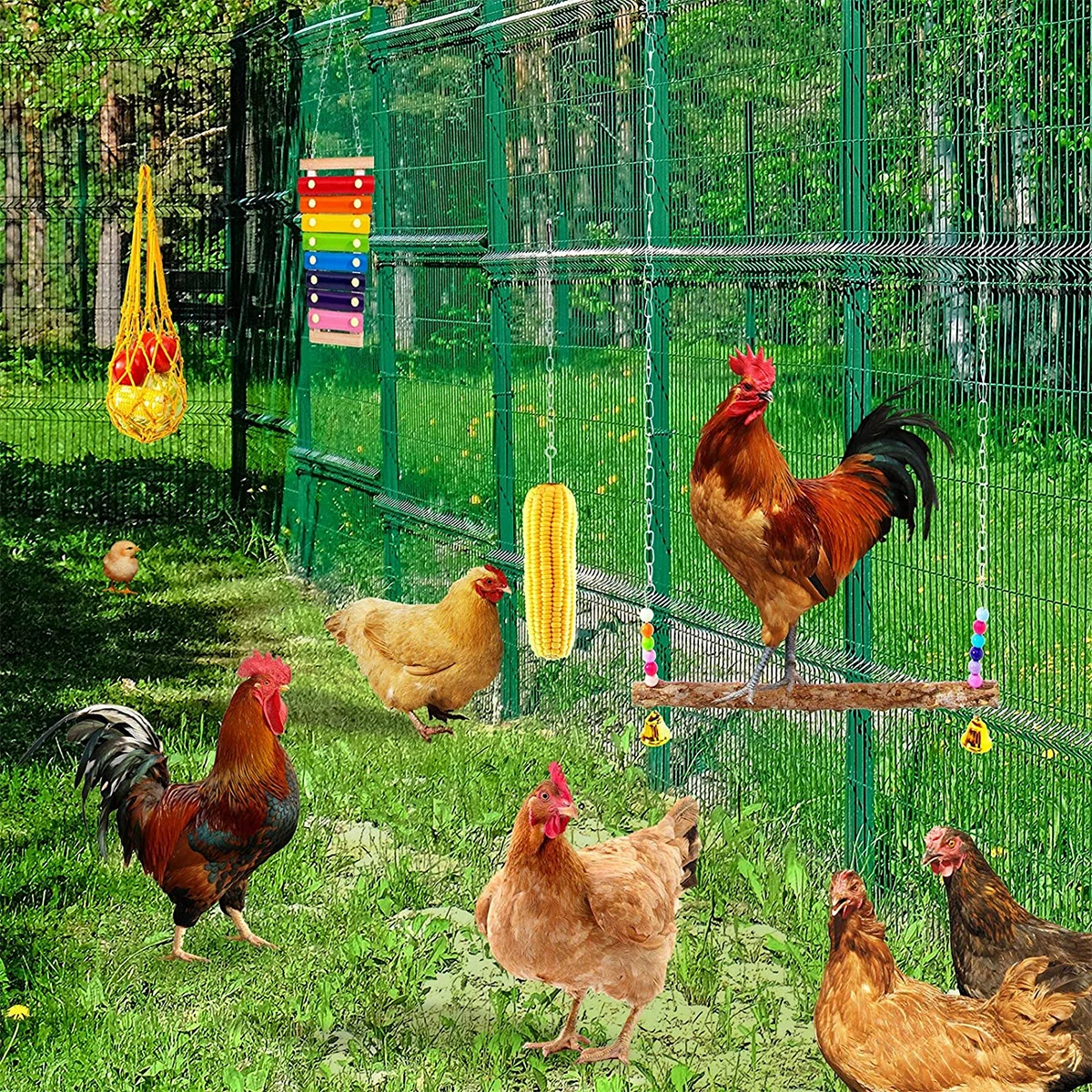 1/6Pcs Chicken Toys Set Chewing Foraging Toys with Wooden Swing Fruit Vegetable Hanging Feeder Xylophone Mirror Bell Ladder Toys 5