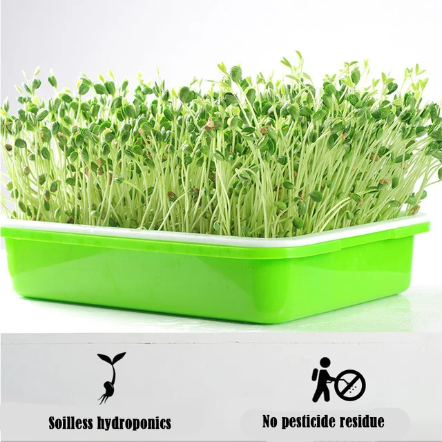2Db/Tétel Magvak Óvodai Edények Hidroponikus Babcsírainak Termesztése Tányér Zöldségfélék Segítetlen Palánta -Emelési Medence Hajtásokhoz - Image 6