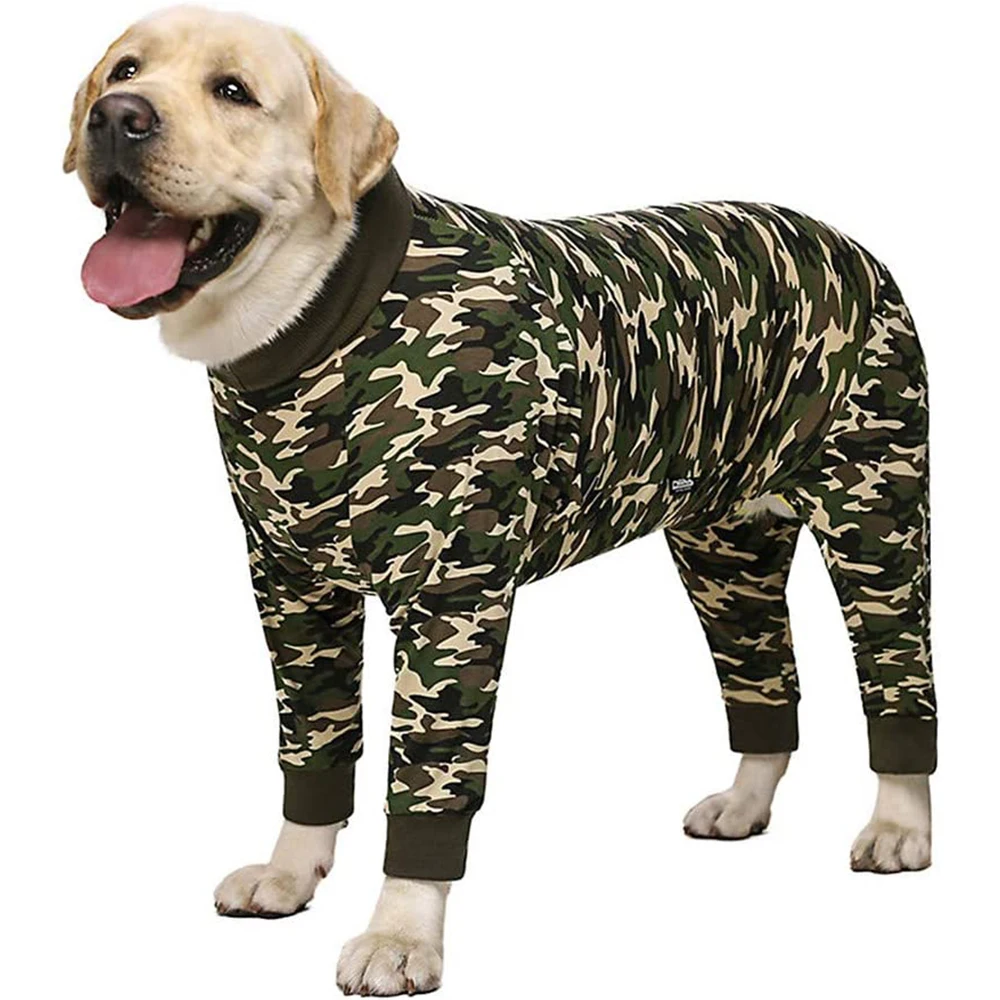 Собака в кольоках. Собака в чулках. Собака вмуолготках. Bodysuit для собак. Dog tight.