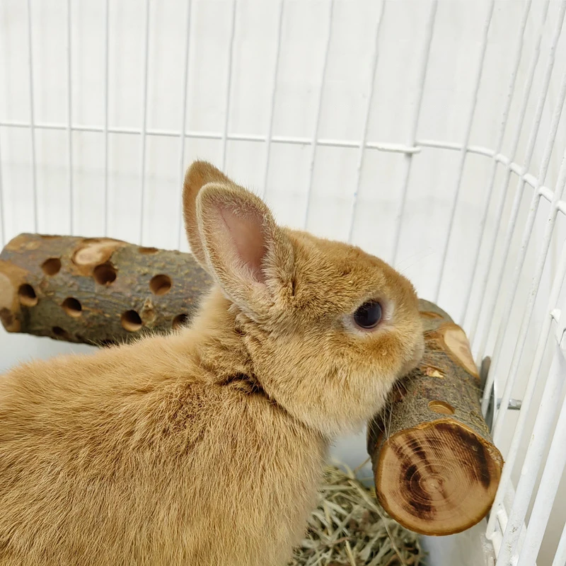 Small Animal Pet Chew Toys Pet Toys Pet Teeth Grinding Toy Pet Bird Toy Hamster Toy Small Animal Rabbit Totoro Molar Stick Anti-bite Cage Apple Wood Parrot Bird Biting Toy Wooden Stand Stick Station