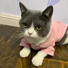 Christmas Pet Cat Costume Clothes for Cats Winter Kedi Katten Sphynx Sweatshirt Hoodie Suit Mascotas Clothing Ropa Para Gato 5