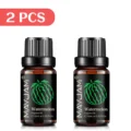 2pcs Watermelon