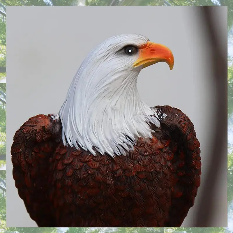 ̾ ¾籤    Ӹ   Ȳȥ  ¾籤 ߵ Ʈ  ¾籤 ũ Ʈ ߿ 