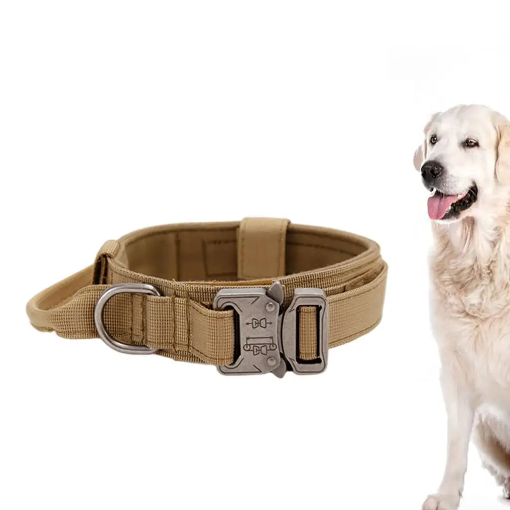 Breathable Nylon Dog Collar Outdoor Training Leash Kit Pet Accessories for Medium and Large Breed Dogs