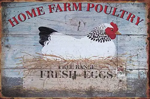 

Kalynvi Home Farm Poultry Fresh Eggs Vintage Funny Chicken Signs Kitchen Chicken Metal Tin Sign Wall Plaque for Home Kitchen Bar