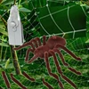 2024 New Kid Gift Remote Control Scary Creepy Soft Plush Tarantula Toy 2