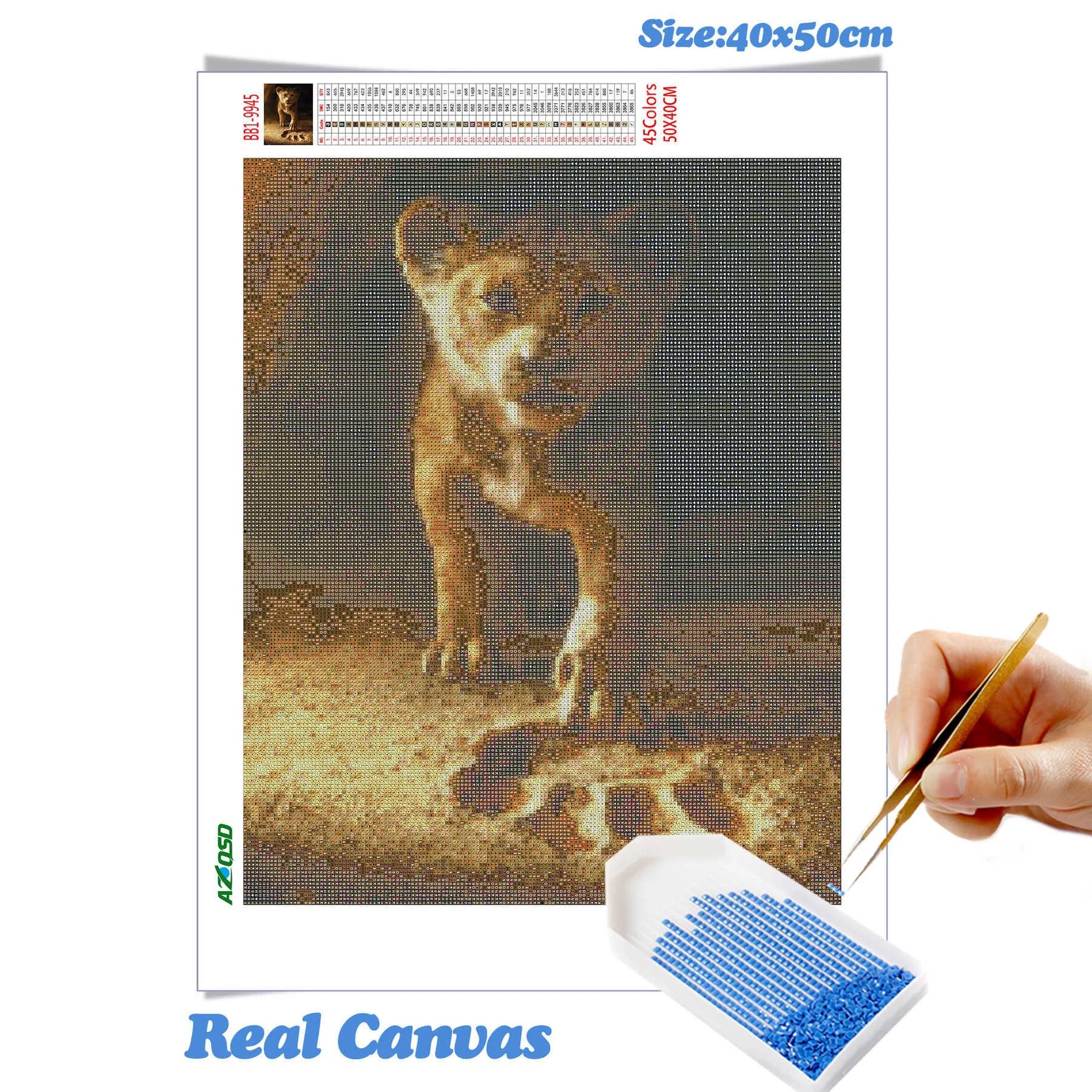 BB1-9945.jpg_.webp BB1-9945.jpg_.webp