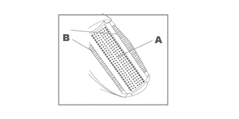 Electric Razor Image 2