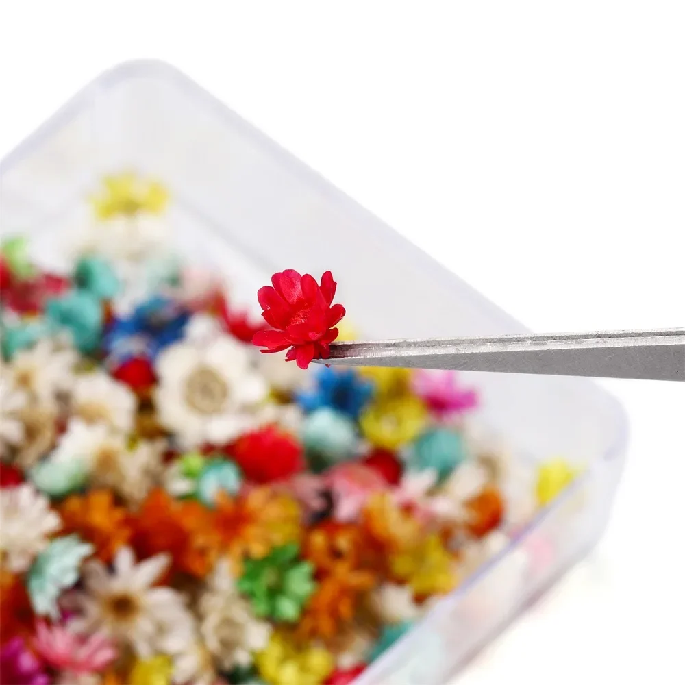Artificial Flower 100/200PCS Dried Flowers Brazil Little Star Flower DIY Craft Epoxy Resin Candle Nail Art Epoxy Resin Filling Making Jewellery