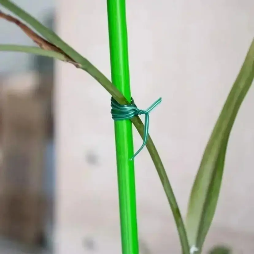 50/100M Gardening Zip Ties Cutting Zip Ties Climbing Vine Plants Fixing Ropes Tying Ties Flower Knot Brackets