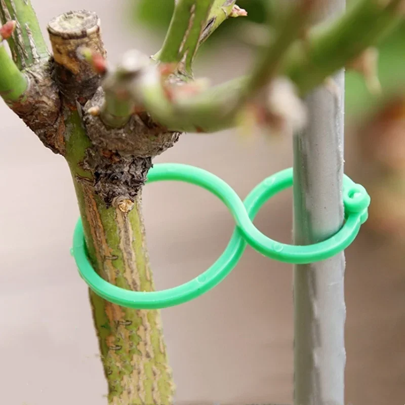 50Pcs Plant Clips 8 Word Buckle Vine Tying