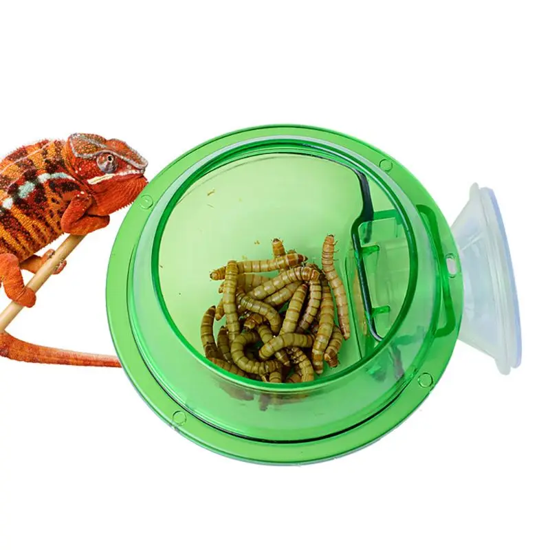 Y1UB Anti-fuga Abbeveratoio per anfibi Ciotola per vermi a ventosa Mangiatoia per rettili - immagine 4