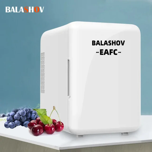 4L Mini Refrigerator Portable Cooler Compact Refrigerator 110V 220V for Home 12V for Car Use Picnic Camping Silent Freezer 1