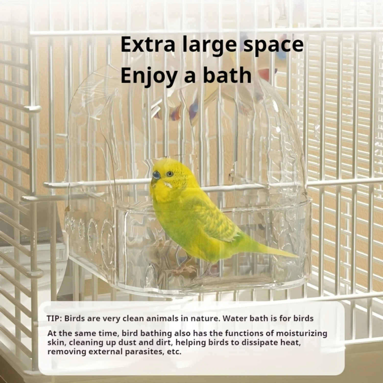 Box Large Space for Parakeets and Cockatiels Pet shedding brush Knife Dog accessories Cat brush Grooming