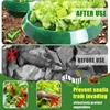 Plants Slug Protection Rings Vegetables Cover Plant Snail Collar Guard Green Planter Flower Pot Pest Control Trapper Garden Tool 4