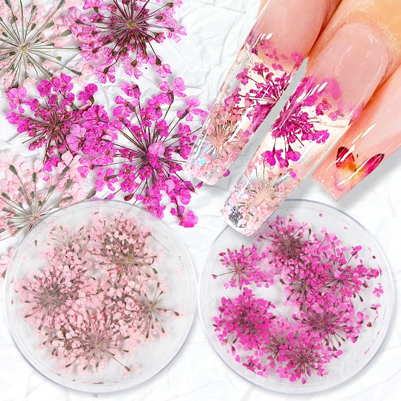 10Pcs 3D Dried Flower Nails Art Decorations Natural Floral Nail Charms  Jewelry Set Nail Supplies For Professionals Accessories - AliExpress