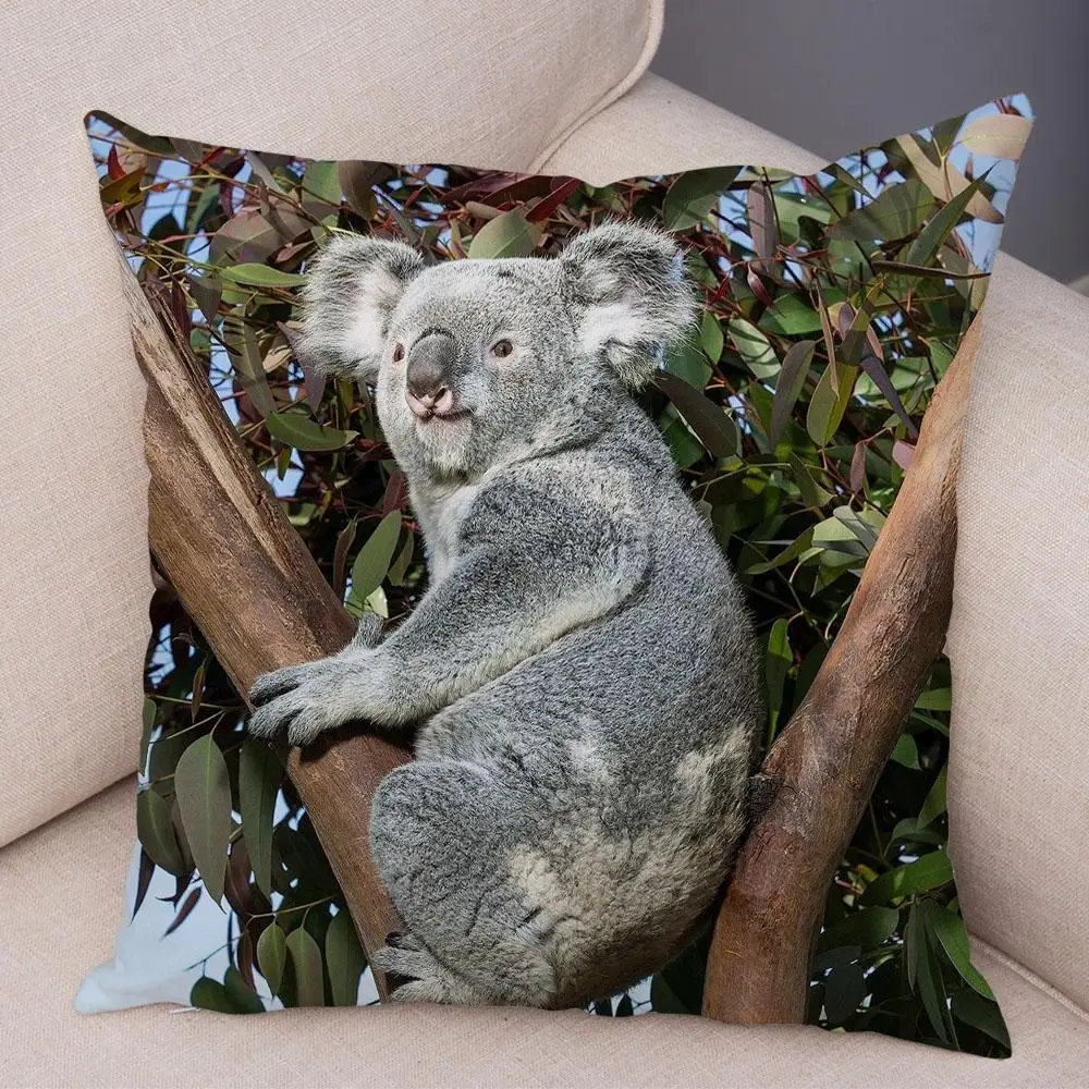 Bedroom Living Room Decor Pillowcase Cute Australian Koala Cushion Cover Wildlife Pattern Print 4