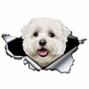 LYKX Lovely Maltese Pet Dog Car Sticker Decoration Waterproof Window Boot Decal Motorcycle Cover Scratch PVC Decals 5