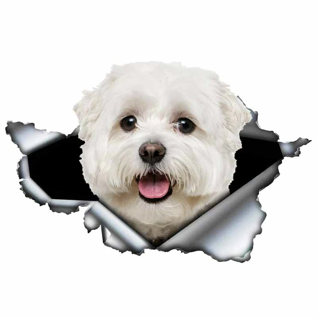 LYKX Lovely Maltese Pet Dog Car Sticker Decoration Waterproof Window Boot Decal Motorcycle Cover Scratch PVC Decals 5