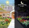 IP65 Waterproof LED Azalea Solar Flowers LightsOutdoor Landscape Light for Lawn Patio Garden Path Decorative Lighting Best Gift 3
