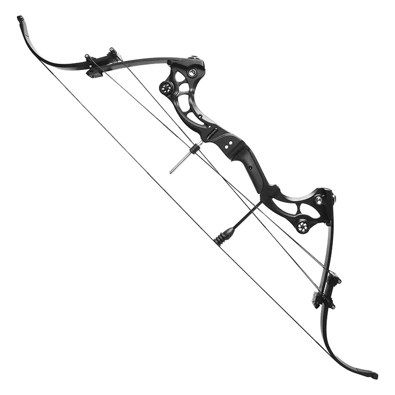 Archery F164 Eagle Bow 9"-31" Draw Weight 40-55lbs Adjustable Archery Hunting Powerful Compound Recurve Hybrid Bow