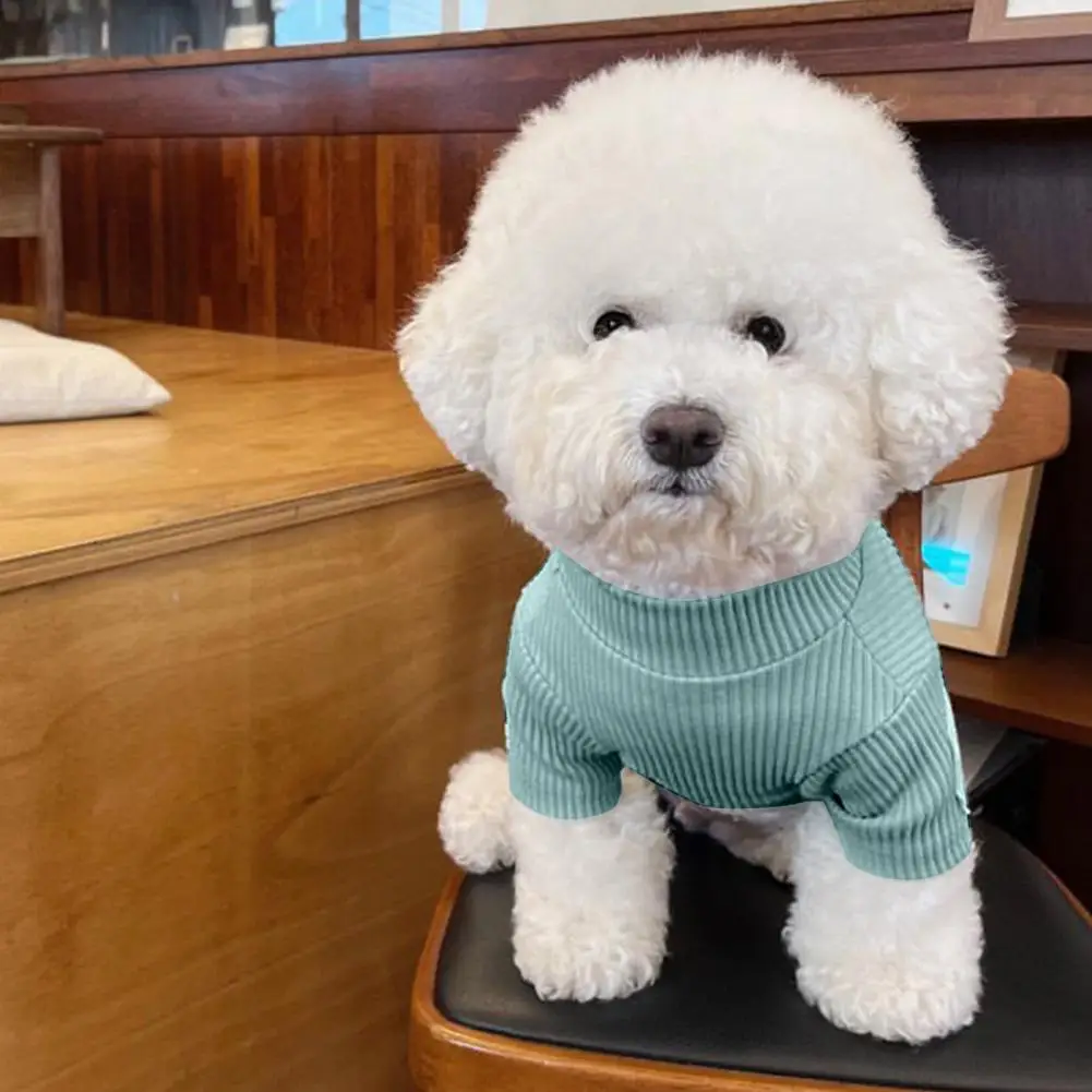 반려동물 라운드넥 스웨터, 작은 강아지 용수철, 반려동물 맨투맨, 부드러운 통기성, 두 다리, 얇은 단색