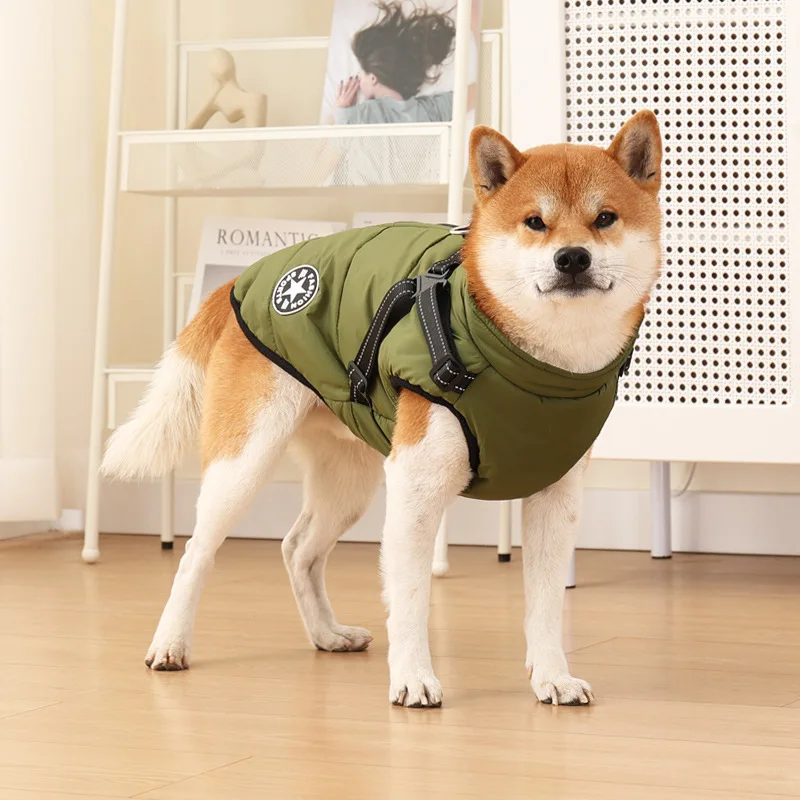 A musthave for walking dogs in autumn and winter thick and warm cotton clothes for dogs windproof and cold proof winter clothing