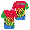 Africa Country Eritrea Flag 3D Print Lion Colorful Retro 3DPrint MenWomen Summer Casual Funny Short Sleeves T-Shirts Kid Tee Top 6