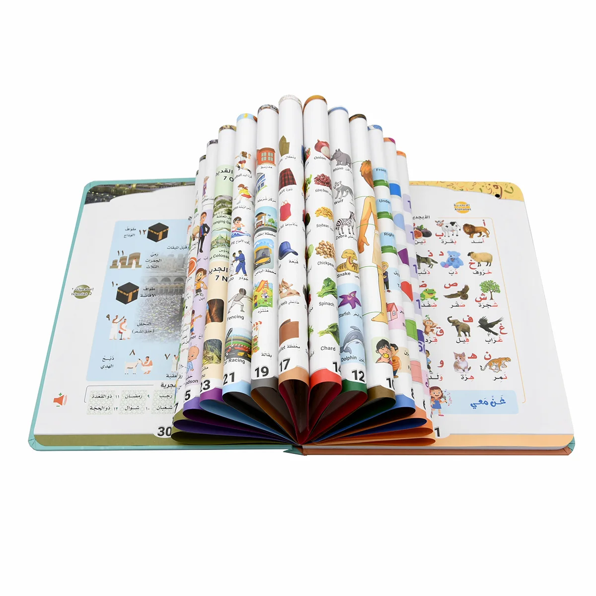 Arabic English Language Learning Machine Baby Montessori Educational E-book Electronic Voice Reading Books Tablet for Children 6