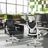 High Back Ergonomic Mesh Office Chair with Adjustable Padded Headrest, White/Black 2