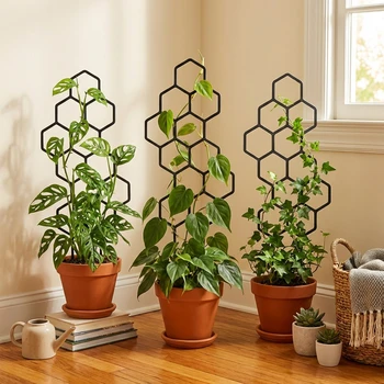 Honeycomb Plant Trellis Set 1