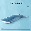Blue Whale
