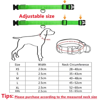 Collier Lumineux LED Rechargeable - Haute Visibilité pour Chien - 2026 - Doglovedesign : Vêtement et accessoires pour chiens