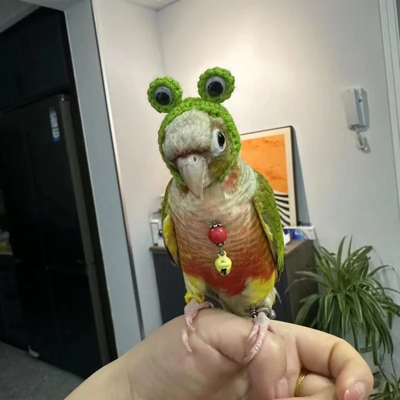 Budgerigar Cockatiel Peony Parrot Bird Hat Pet Wool Crochet Knitted Small Hairgear Headgear Casque Cover Birds Toys