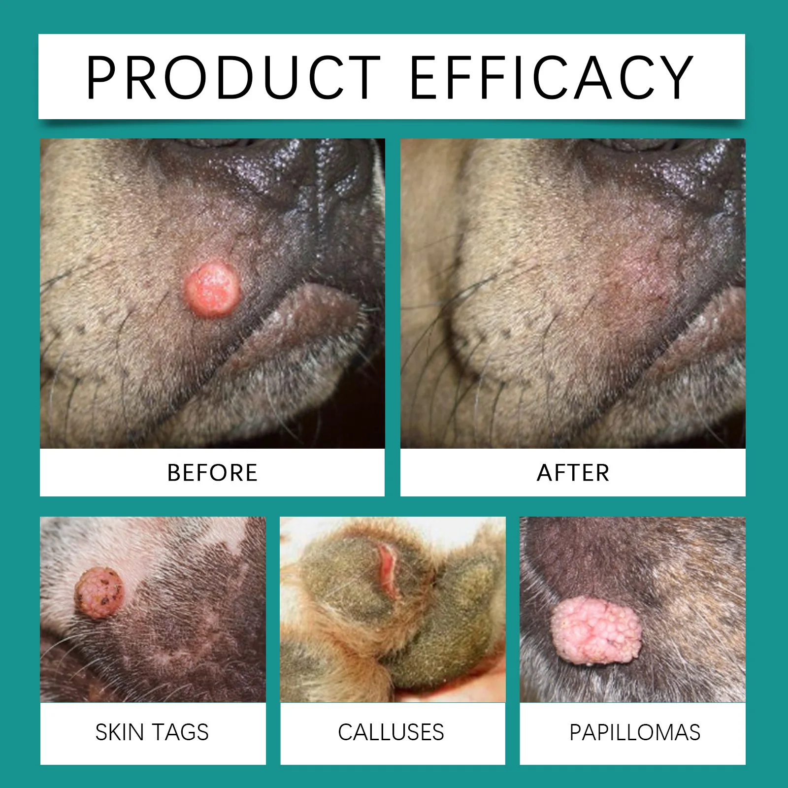 Pet Wart Removal Liquid Eliminate Corns Papilloma Remove Flesh Warts Painless Moles Cleaning Skin Tags Dog Skin Repair Liquid